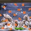 10 Stück Dekorative Realistische Goldfische Lebensechte Bewegliche Goldfische Plastik Goldfisch Aquarium