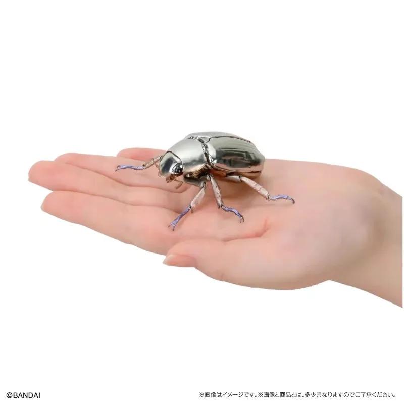 Original Twisted Egg Biological Encyclopedia Scarab Beetles Simulation Model Ornaments Action Figure Toys