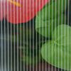 Wooden Cold Frame Garden Polycarbonate Greenhouse with Openable Top Cover, Grow House for Flowers, Vegetables, Plants, 90 X 52 X 50cm, Grey