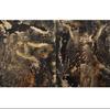 [USED] Anselm Kiefer PALAZZO DUCALE VENICE
