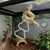 Hanging Reptile Climbing Ring Cloud Shape Plastic Snake Climbing Toys Exercise Multi-Level Climbing Hoop Chain Habitat