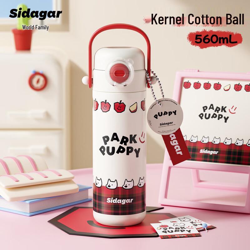 Shidajia 580ml Insulated Straw Bottle