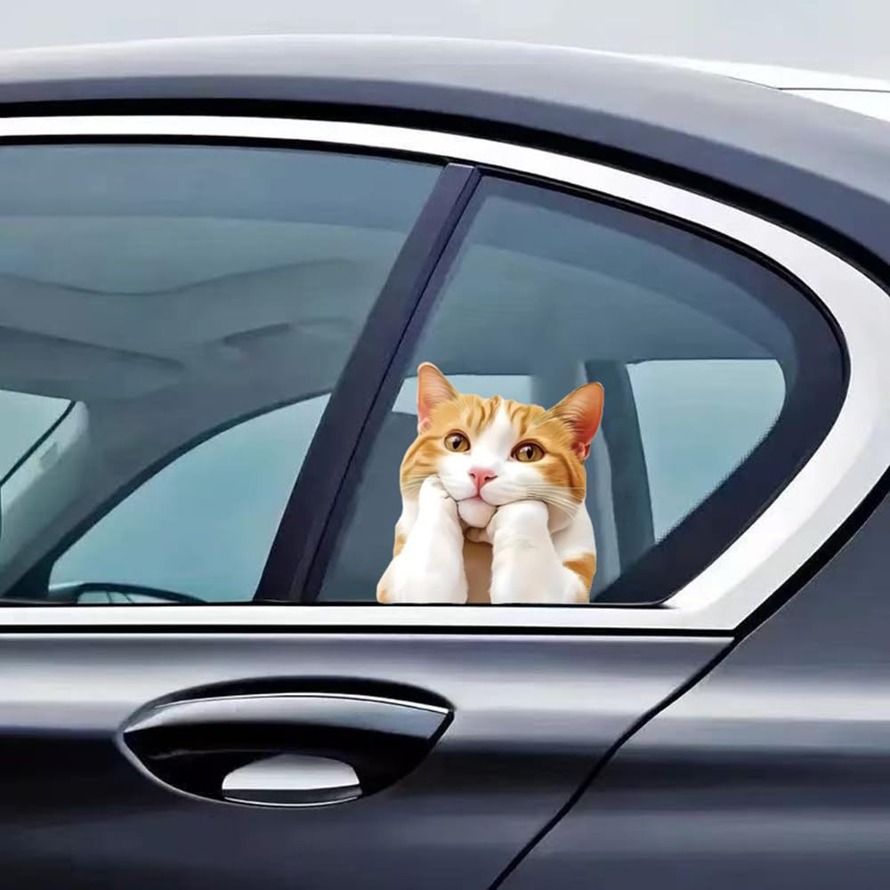 Two Thinking Cat Pack Vinyl Decal Sticker, Waterproof Poly Beer Covered for Cars, Laptops and Smooth Surfaces A098