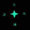 Garden Stepping Stone Glow-in-The-Dark Butterfly Insect Resin Garden Stone Moon Sun Star Stepping Stone for Patio Lawn