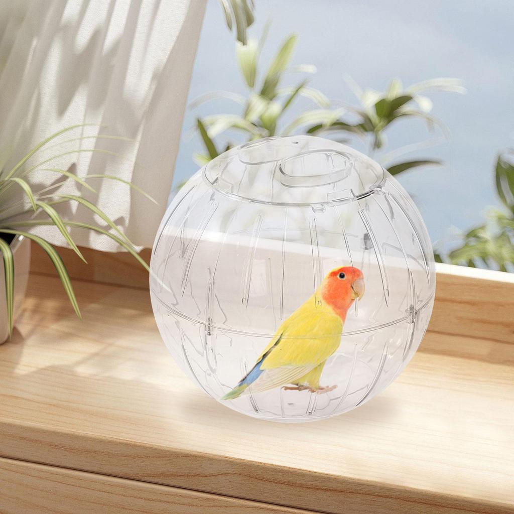 Hamster Exercise Ball, Running Wheel, Stylish, Fun, Transparent Reduces Boredom, Interactive Play