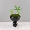 Decorative Pedestal Bowl Stone Catchall Compact Elegant Stable Sculptural