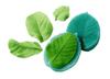 Linden Leaf Silicone Mold for Sugar Paste