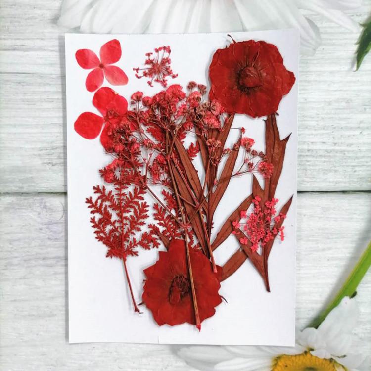 Pressed Dried Flower DIY Kit: Bookmark, Resin, & Phone Case Embossing Materials