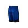 Nike Basketball Shorts Men's Blue 893807-410