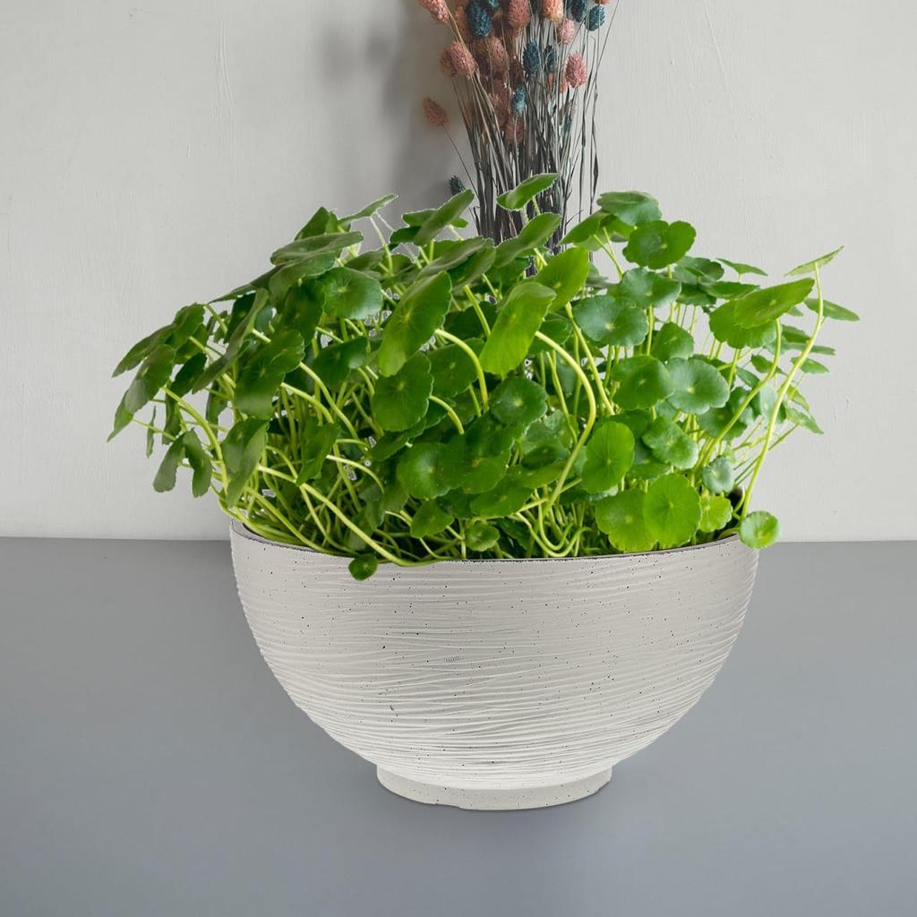 Housoutil Vintage Succulents Planter Ceramics Water Lily Bowl Hydroponic Planter Pot Round Succulent Nursery Pot Flowerpot Decoration (Beige) Office