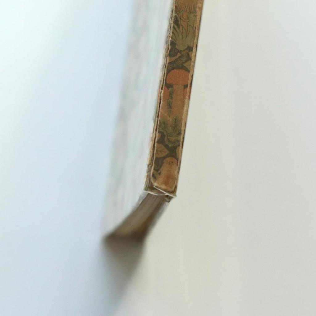 [USED] Germany Insel Library 503 Mushroom Book