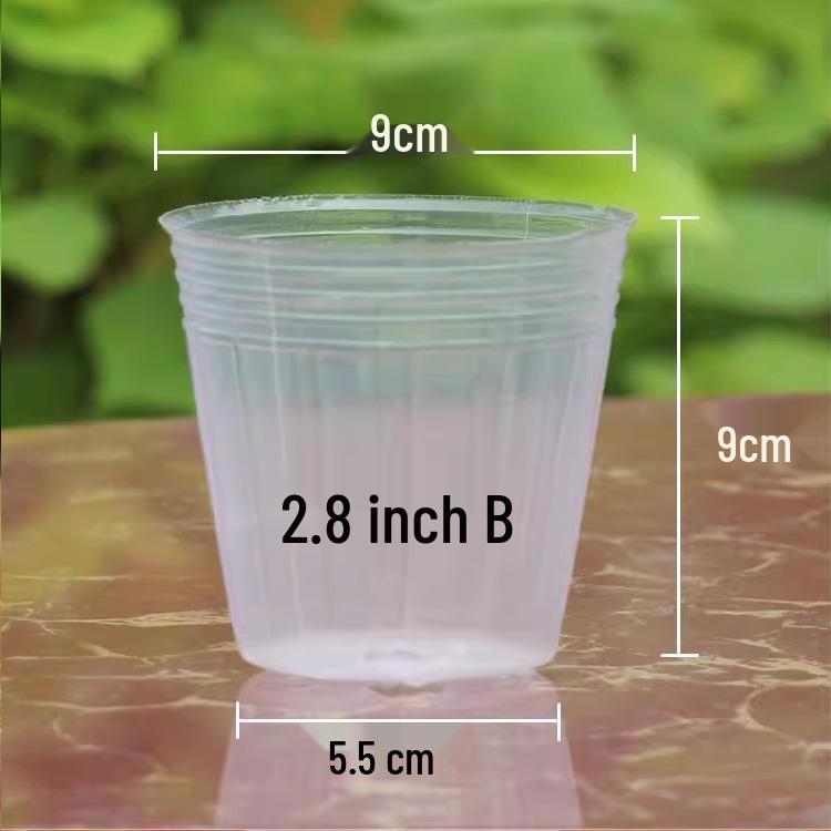 Translucent Plastic Phalaenopsis Planting Pots – 2.5", 3.5", 4" Sizes