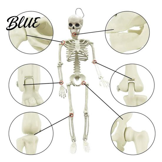 Simulation Bone Structure for Stage Setup Halloween Skeleton Decoration 3Ft Life Size Full Body Human Bone Realistic Posable Lifelike Decoration
