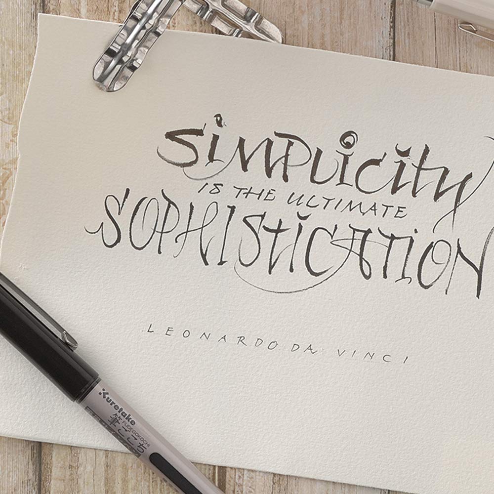 Kuretake Pix cu pensulă, vârf tip pensulă, LS1-10S