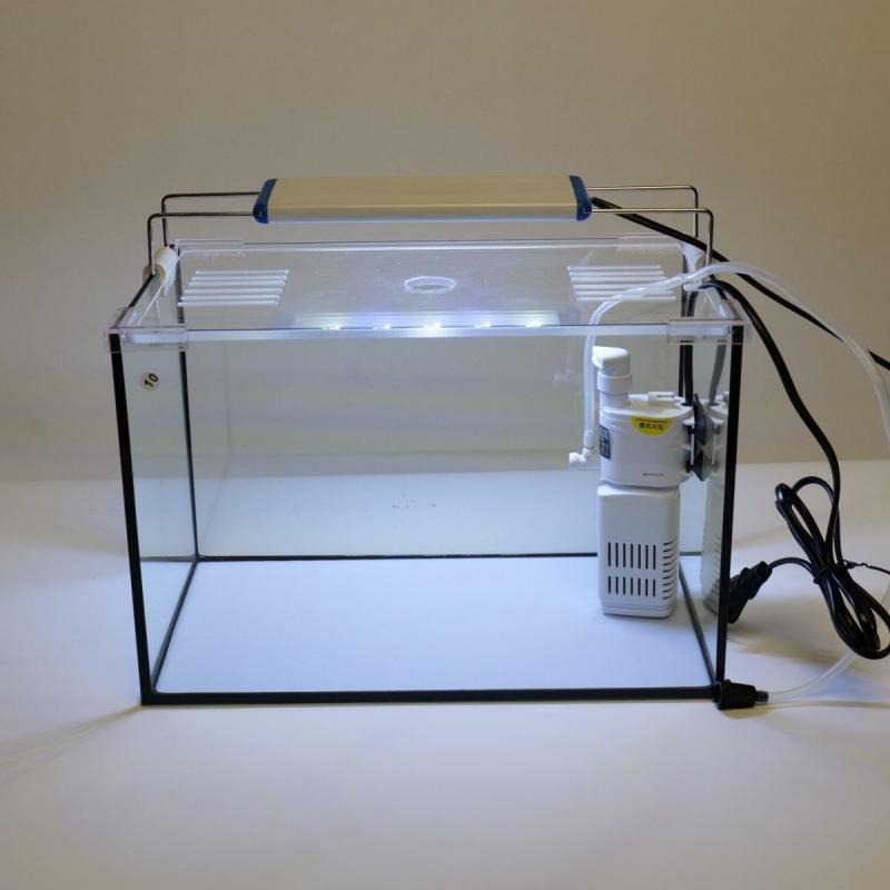 Μαύρο Βινύλιο Γωνιακό Ενυδρείο Ψαριών Γκόλντφις - Δεξαμενή Ψαριών από Τζαμί Ασφαλείας για Σαλόνι ή Γραφείο