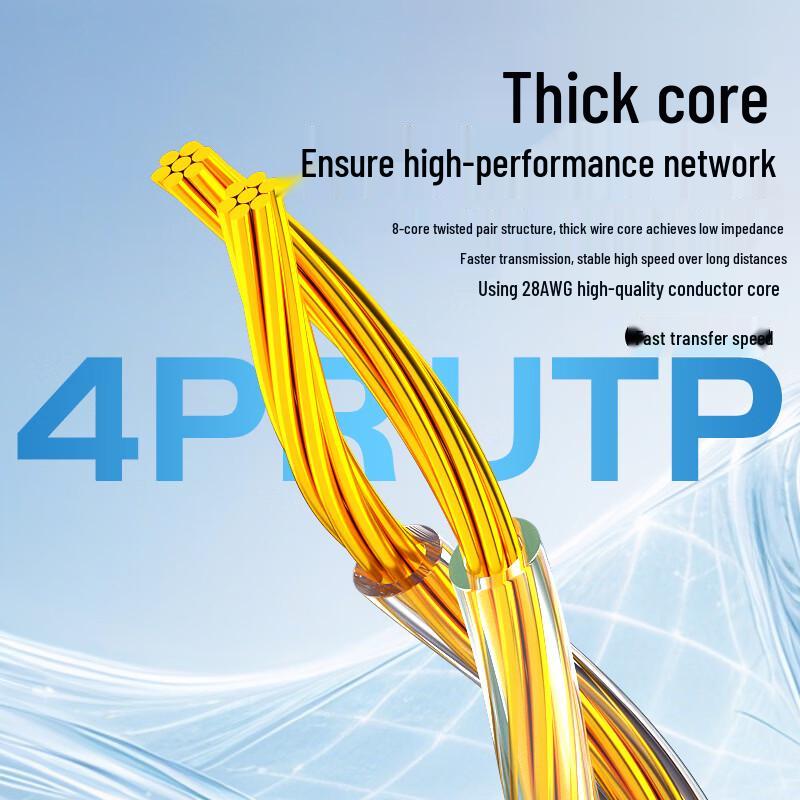 AIENKIS CAT6A 10 Gigabit OFC Ethernet Patch Cord