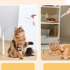 Detachable Handle Cat Play Tool Cat Teaser Cat Teaser Wand Detachable Handle Feather Attachment Plastic ABS Components