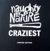 12inch Record NAUGHTY BY NATURE  Craziest BLRT114 BIG LIFE 1995 US Rap  HipHopRB Used