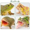 TOYMANY 12-Piece Frog Figure Set, Realistic Frog Model Figurines, Perfect for Birthdays, Christmas, New Years, Halloween, and More, Ages 6 and Up