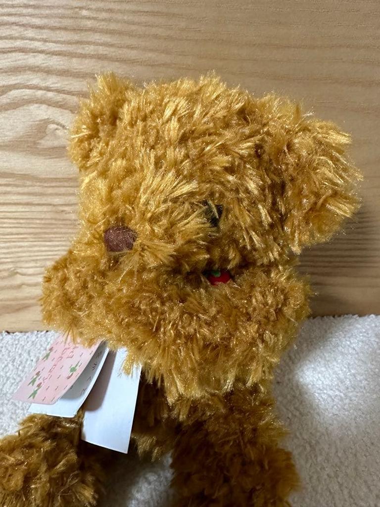 [USED] Wild Strawberry Teddy Bear with Music Box