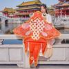Short Cloud Vintage Goldfish Kite