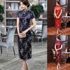 Lady Petticoats Plus Size Women Short Sleeve Dragon Phoenix Print Chinese Cheongsam Banquet Midi Dress