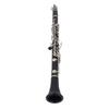 Professional Bb Clarinet Engineering Plastic 17 Keys B Flat Clarinet Instrument for Practice