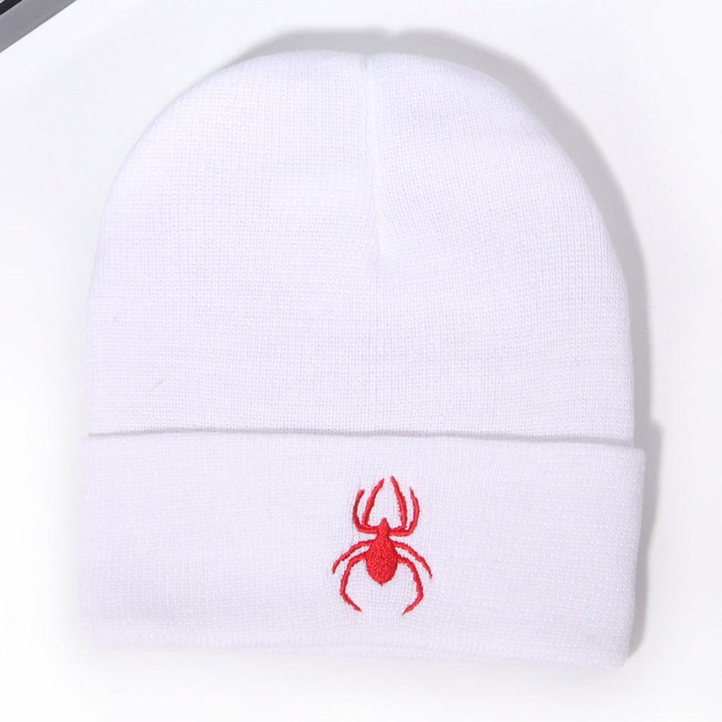 

Spider Embroidered Knit Beanie With Warmth For Streetwear And Casual Wear White