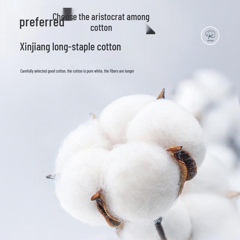 LangSha Men's Pure Cotton Antibacterial Silk Gusset Boxer Briefs