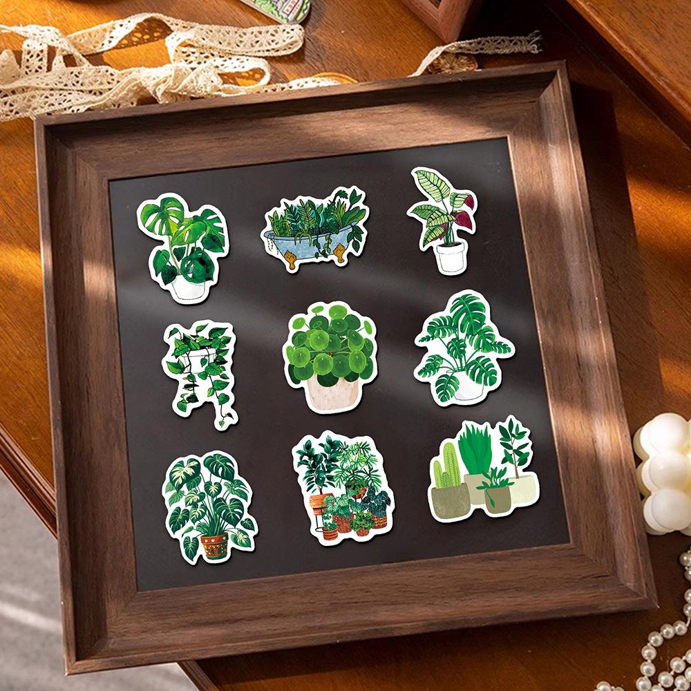 Magnet na lednici s rostlinnou zelení - Design čerstvé malé hrnkové rostliny