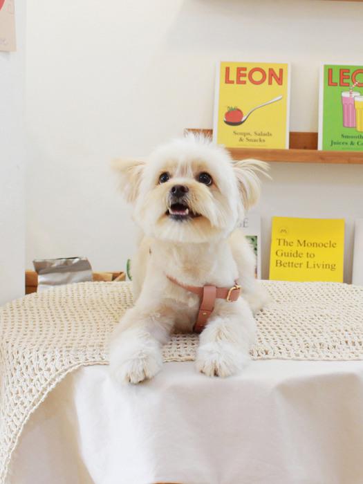 MAISON DE MIU Running Mate Harness_Rose Pink Silver