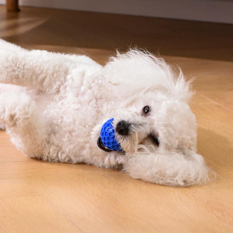Eco-Friendly Honeycomb Tough Natural Rubber Squeaky Indestructible Ball