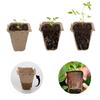 40pcs Peat Pot Seedling Tray Plantable Germination Cups With Labels For Vegetables Flowers Garden Backyard Balcony Greenhouse