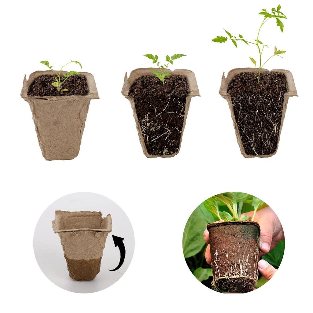 40pcs Peat Pot Seedling Tray Plantable Germination Cups With Labels For Vegetables Flowers Garden Backyard Balcony Greenhouse