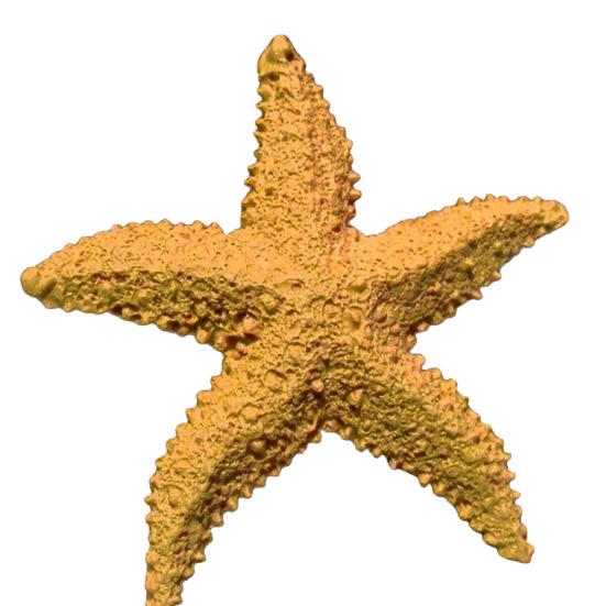 2 Stück Aquarium Ornament Mediterranes Harz Mini Seestern Aquarium Dekoration