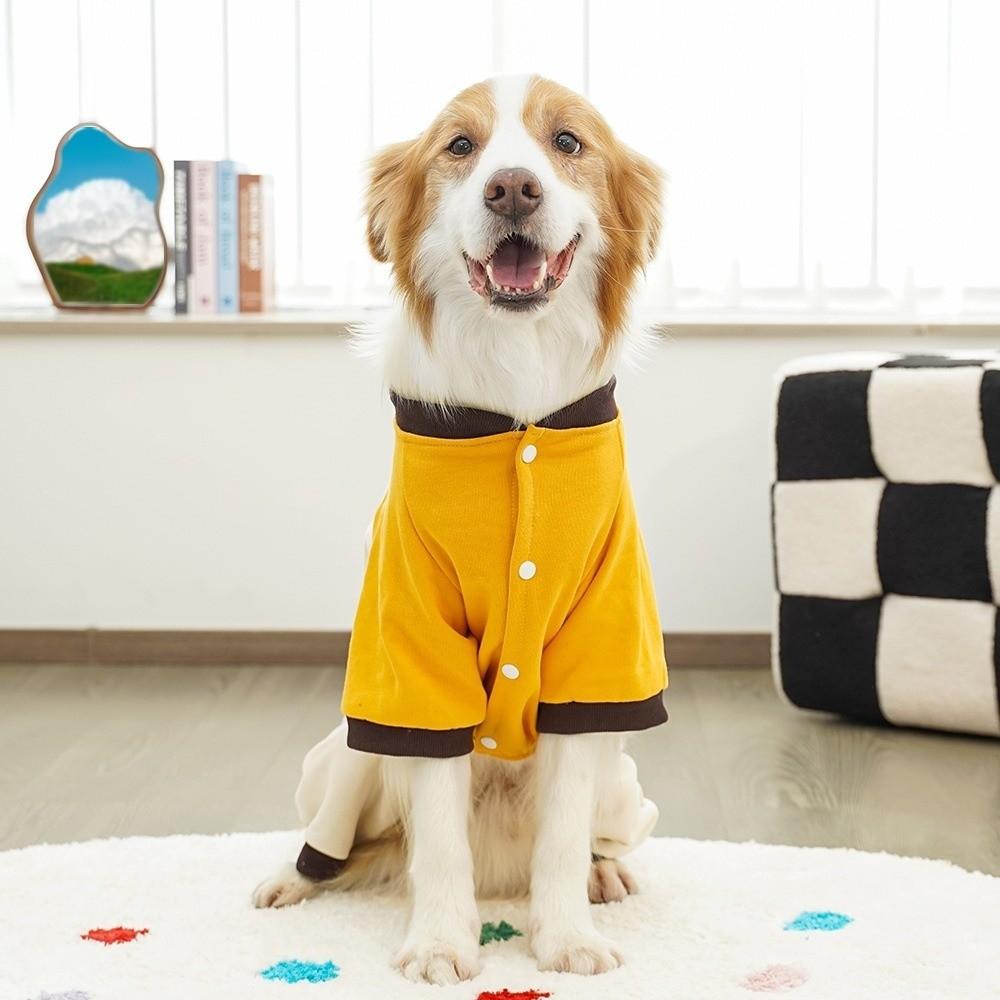 Bear Pattern Dog Jumpsuit Color Block Four Legged Clothes Cartoon Dog Warm Pajamas  Outdoor