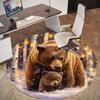1PC Bear Cub Winter Office Round Area Rug, Under Office Chairs Bedroom Living Room Home Decor,Carpet for Office, -1110193