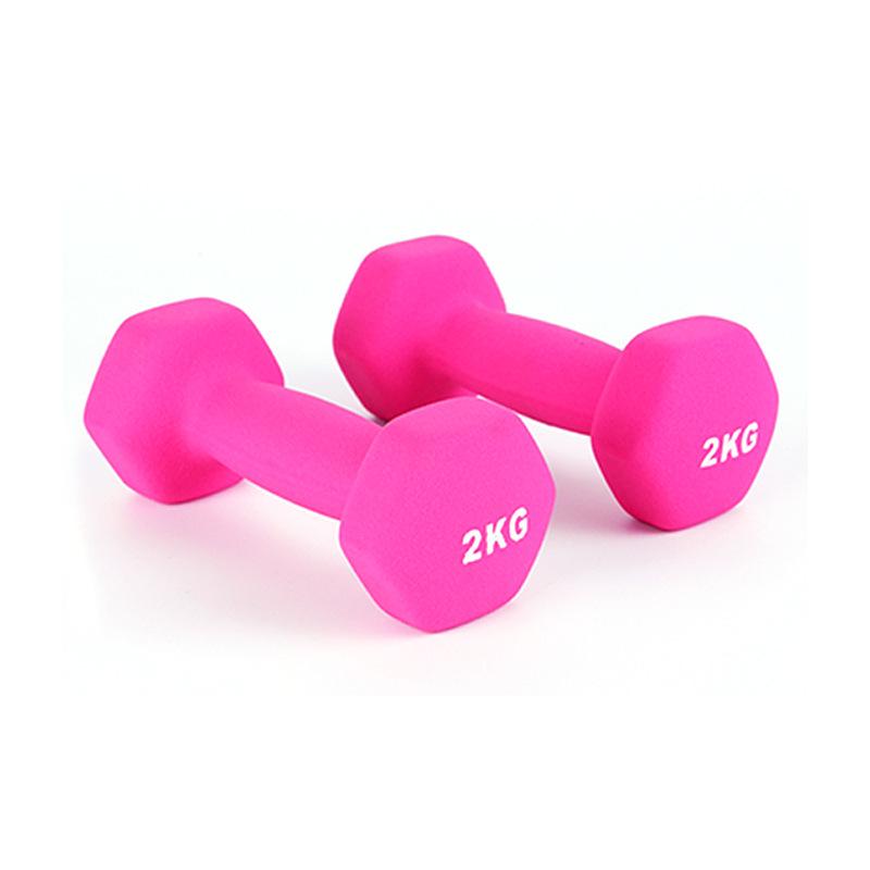 Manubrio Solido in Ghisa da 1,5 kg per Fitness a Casa