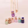 Unique Crystal Perfume Flask Necklace Pendant Adjustable Length Clavicle Chain Stainless Steel Cable Chain Women Choker