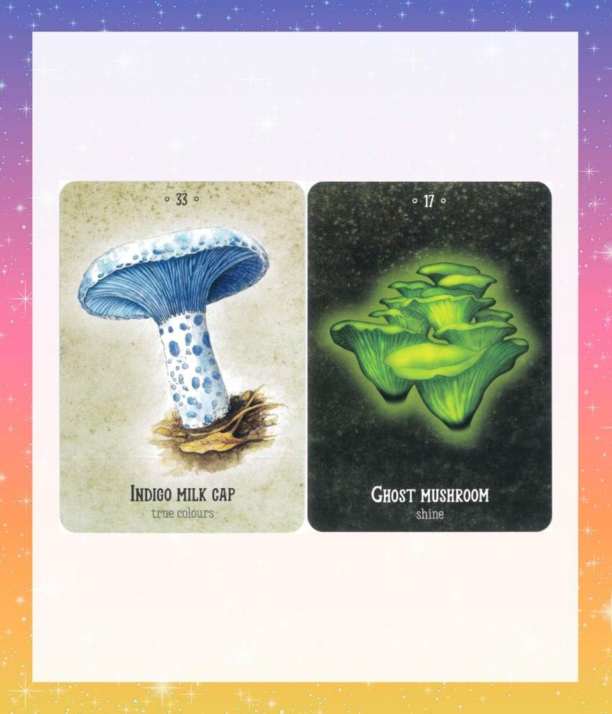 Mushroom Spirit Japanese Instruction Manual Oracle Tarot Fortune Telling Oracle, Included, Cards, Cards, [Authentic]