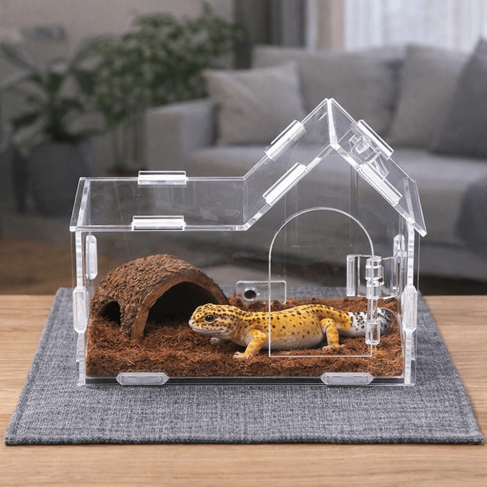 Acrylic Reptile Feeding Box Magnetic Reptile Habitat Box Pet Breeding Container  Breeding