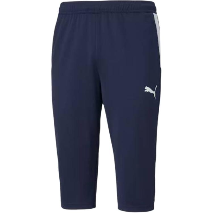 Puma Logo Print Slim Fit Seven-Point Sports Shorts Men Shorts Blue 657271-06