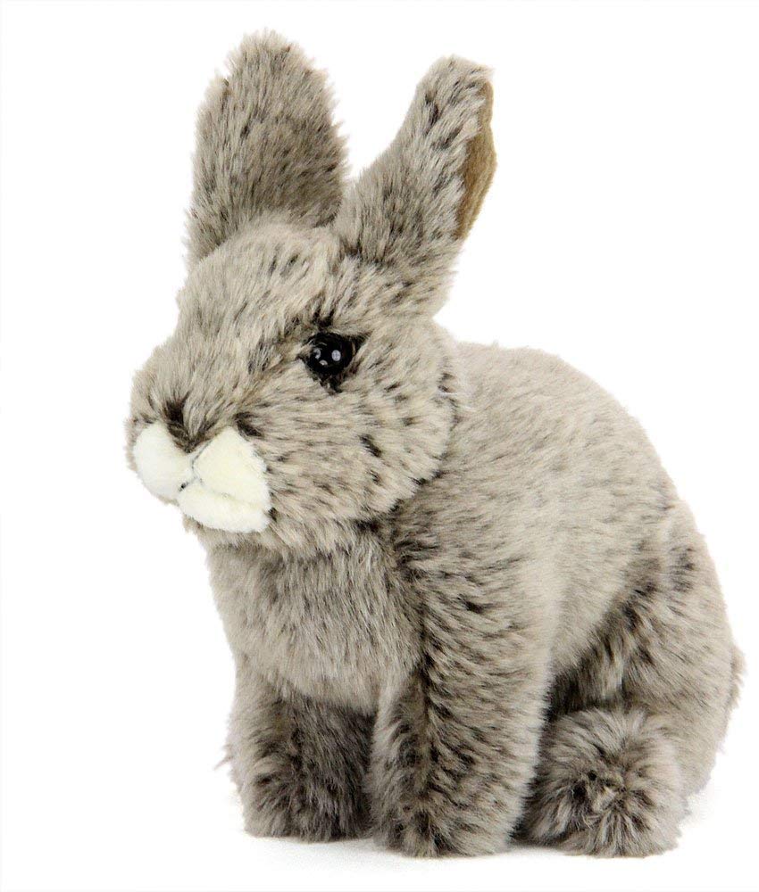 Carolata Japanese Rabbit Plush Toy (Real Animal BabySoft to the Touch) Real Rabbit Animal Baby Toy Doll Gift Present Birthday (Checked twice) 