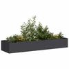 Black Pot 280X80X40 Cm Steel