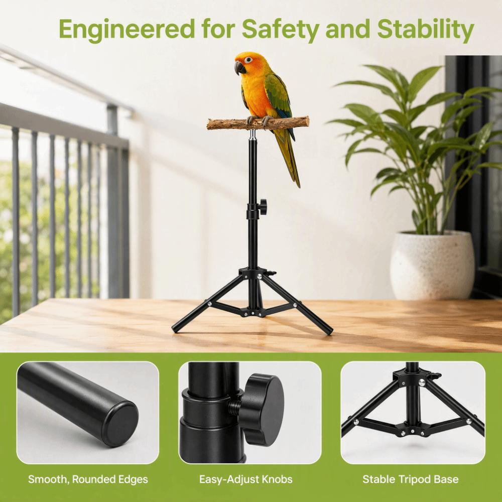 Black Bird Training Perch Alloy Bird Play Perch Outdoor Bird Stand Physical Activity Space