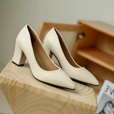 Small Pointed Thick Heel Temperament High Heels 2025 Spring, Summer and Autumn Not Tired Feet with Skirt Design Sense Niche Single Shoes