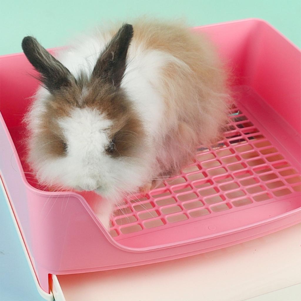 Neue Beste Große Premium Kaninchen-Katzentoilette - Überlegenes Geräumiges und Robustes Design - Hochwertige Feste Schublade - Ideale Gitter-Toilette für