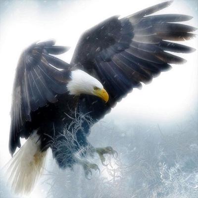 5D DIY Rhinestone Diamond Embroidery Eagle Painting Cross Stitch Home Decor Gift
