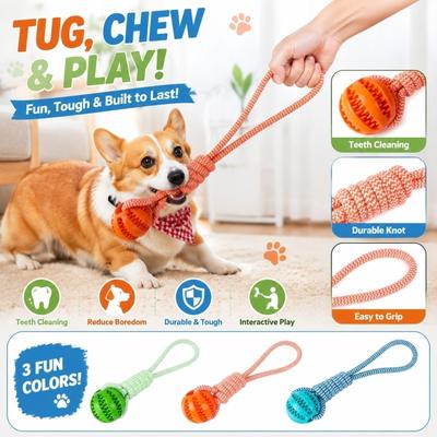 Perros – Juguetes para perros