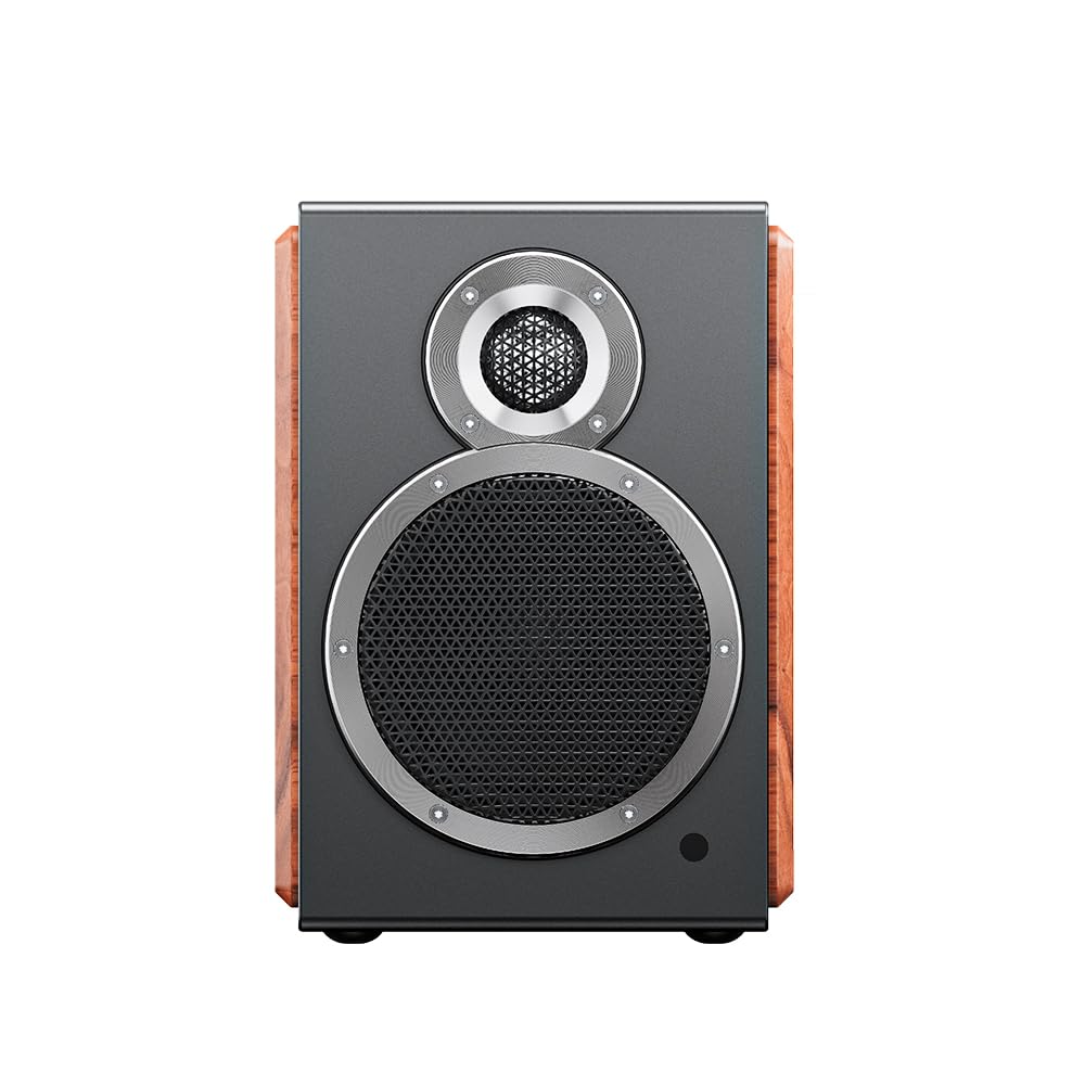 FIIO SA1 FIO-SA1 [Ships from an Authorized Japanese Retailer, Serial Number Included] Active Desktop Bluetooth Speaker (Black)